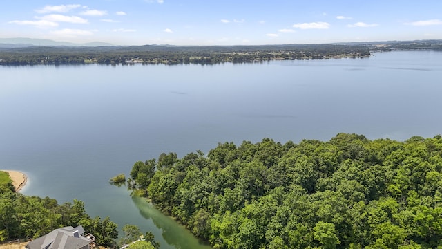 1039 Sunny Ct, White Pine, TN 37890