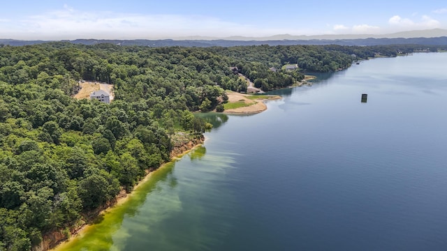1039 Sunny Ct, White Pine, TN 37890