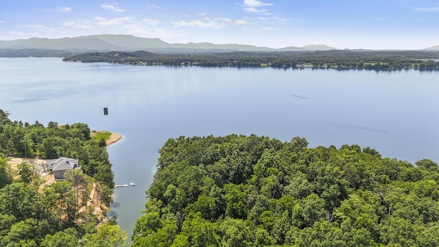 1039 Sunny Ct, White Pine, TN 37890