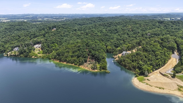 1039 Sunny Ct, White Pine, TN 37890
