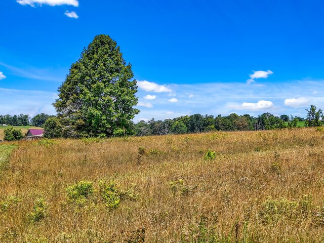 LOT51 Shirley Dr, Whitesburg, TN 37891 - photo 11