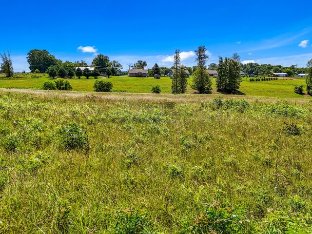 LOT51 Shirley Dr, Whitesburg, TN 37891 - photo 24