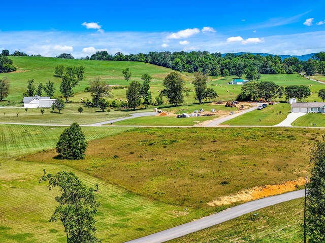 LOT51 Shirley Dr, Whitesburg, TN 37891 - photo 6