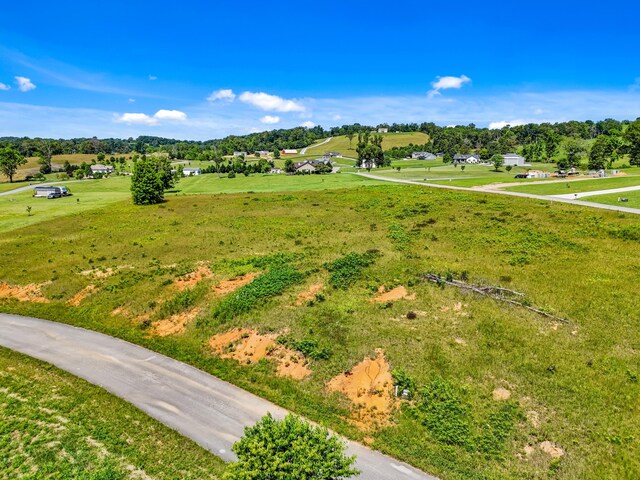 LOT51 Shirley Dr, Whitesburg, TN 37891 - photo 16