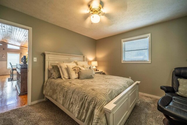 1662 Canal Ln, Dandridge, TN 37725 - carpeted bedroom featuring multiple windows, a ceiling fan, and a textured ceiling