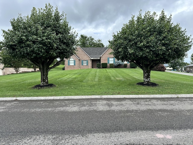 4815 Stapleton Rd, Morristown, TN 37813 - view of front facade featuring a front lawn and brick siding