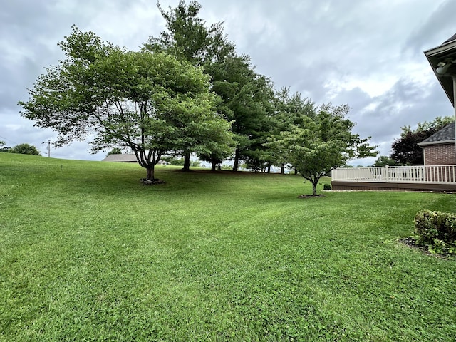 4815 Stapleton Rd, Morristown, TN 37813 - view of grassy yard with a wooden deck