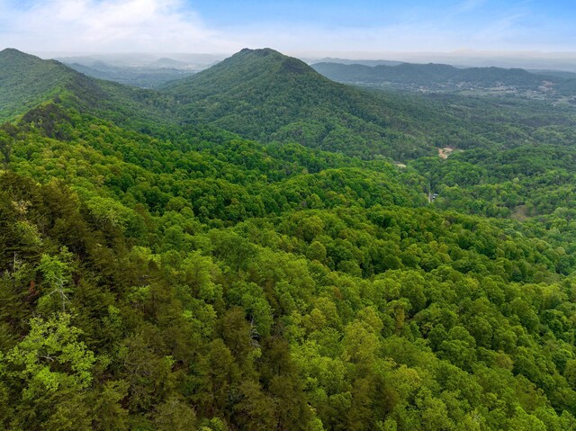 TRACT5 Sandy Valley Rd, Rogersville, TN 37857 - photo 11