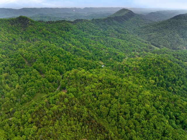 TRACT5 Sandy Valley Rd, Rogersville, TN 37857 - photo 14