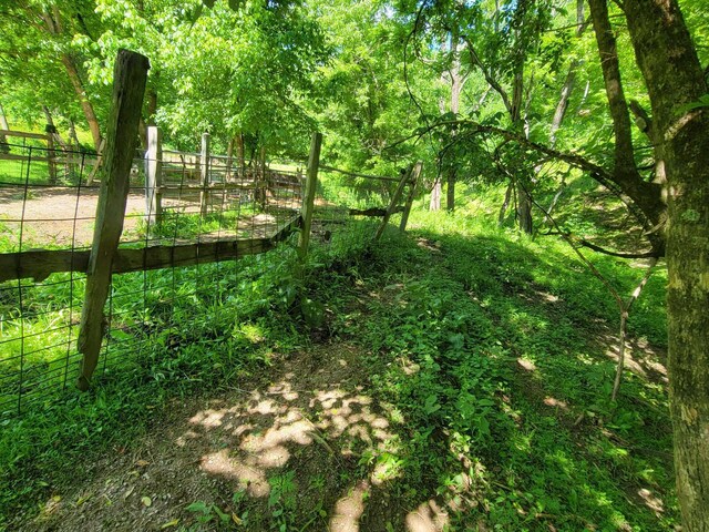 TRACT5 Sandy Valley Rd, Rogersville, TN 37857 - photo 16