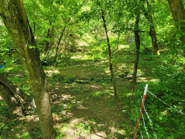 TRACT5 Sandy Valley Rd, Rogersville, TN 37857 - photo 15