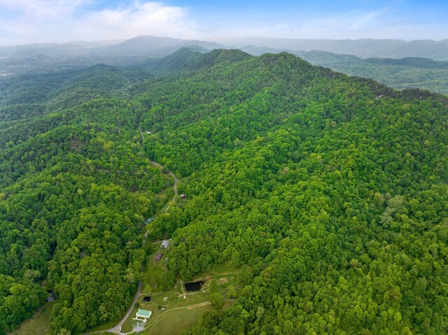 TRACT5 Sandy Valley Rd, Rogersville, TN 37857 - photo 8