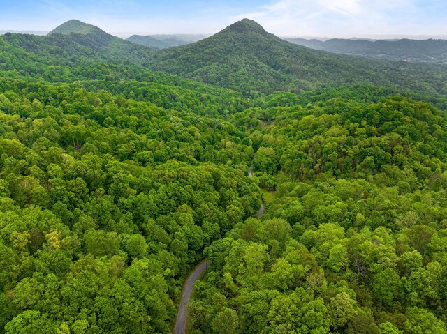 TRACT5 Sandy Valley Rd, Rogersville, TN 37857 - photo 13