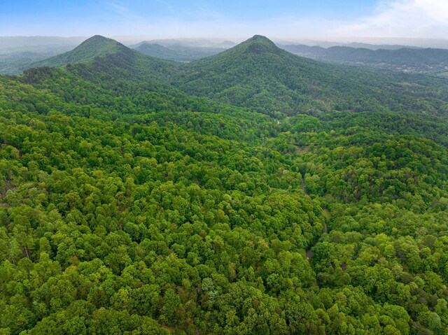 TRACT5 Sandy Valley Rd, Rogersville, TN 37857 - photo 12