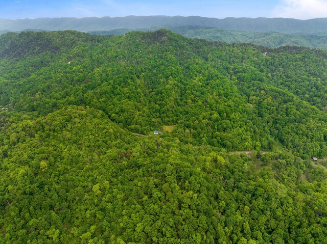 TRACT5 Sandy Valley Rd, Rogersville, TN 37857 - photo 7