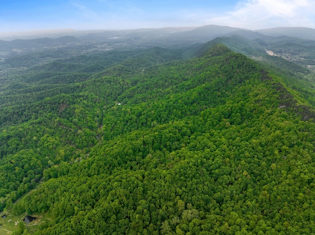 TRACT5 Sandy Valley Rd, Rogersville, TN 37857 - photo 9