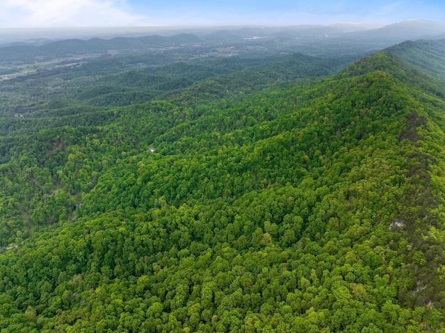 TRACT5 Sandy Valley Rd, Rogersville, TN 37857 - photo 10