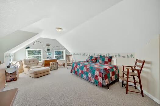 carpeted bedroom with vaulted ceiling