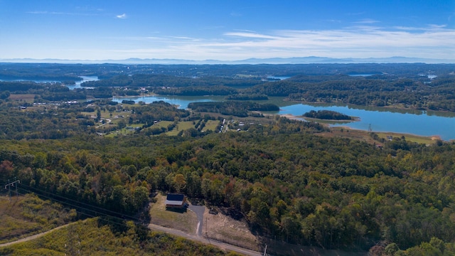 drone / aerial view with a water and mountain view