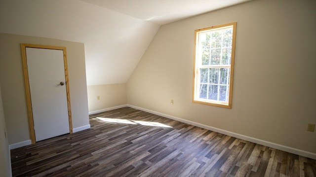 additional living space with dark wood-type flooring and lofted ceiling