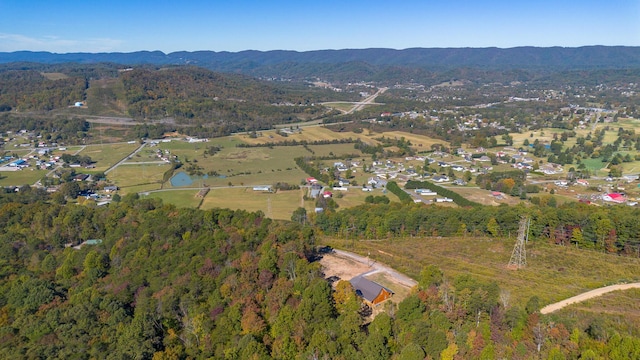 birds eye view of property featuring a mountain view