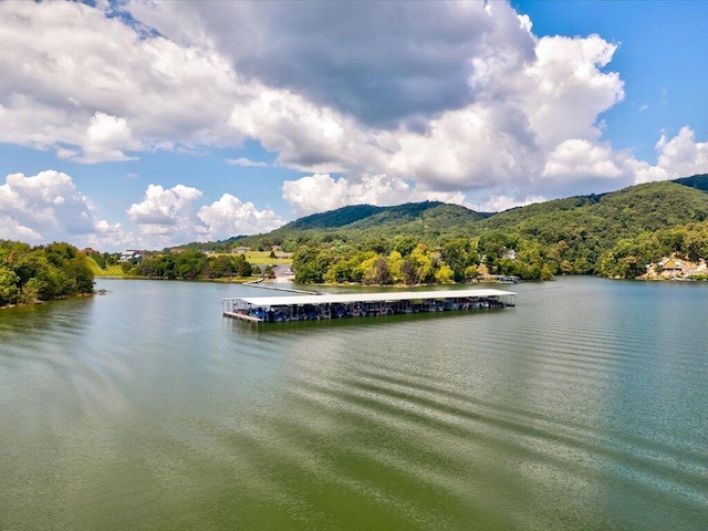 5037 Serenity Dr, Mooresburg, TN 37811