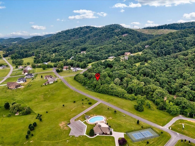 5037 Serenity Dr, Mooresburg, TN 37811
