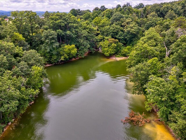 5037 Serenity Dr, Mooresburg, TN 37811