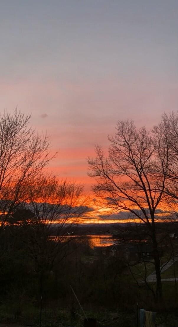 view of nature at dusk