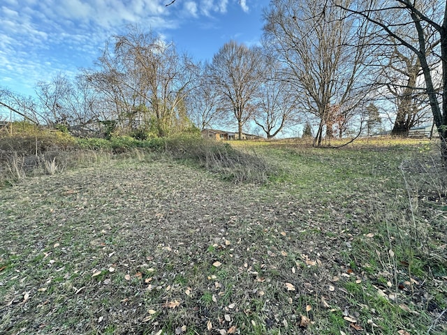 view of local wilderness