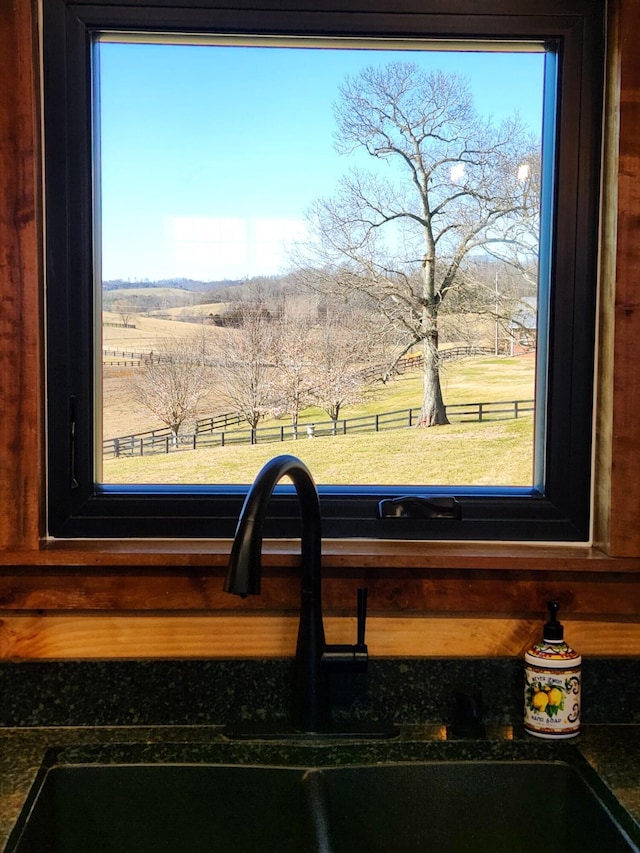 room details featuring a rural view and sink