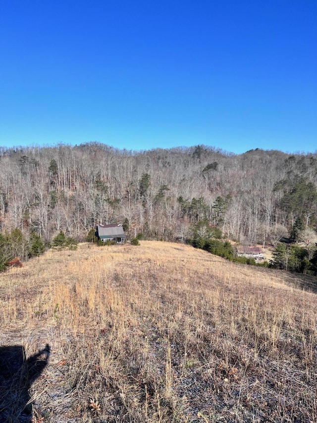 TRACT2 Bundren Mountain Rd, Tazewell TN, 37879 land for sale