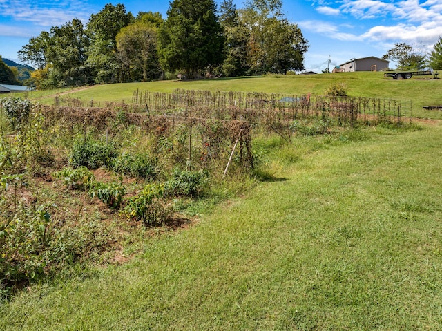 view of yard with a rural view