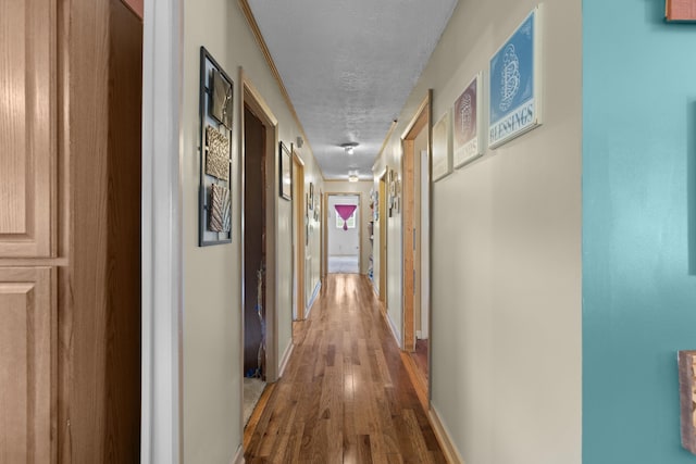 hallway with wood-type flooring and a textured ceiling