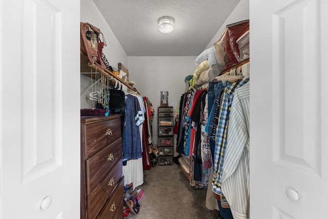 spacious closet featuring carpet floors