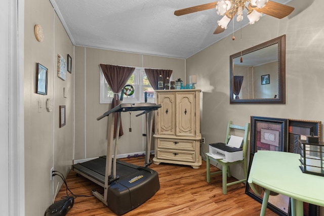 workout area with ceiling fan and light hardwood / wood-style flooring