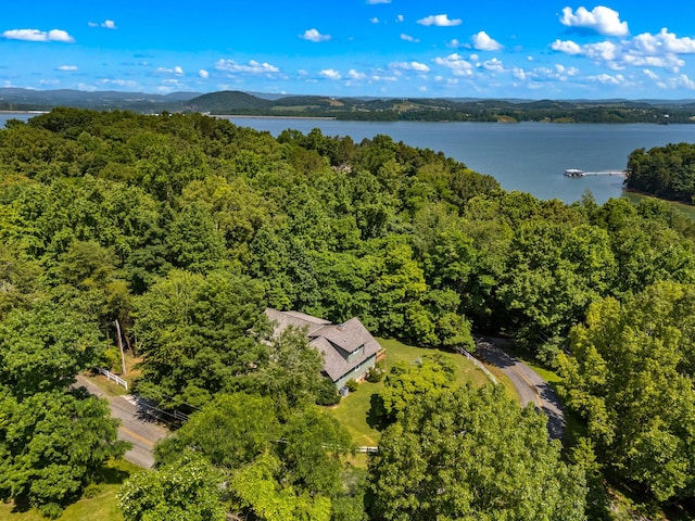627 Heather Brook Cir, Jefferson City, TN 37760 - photo 37