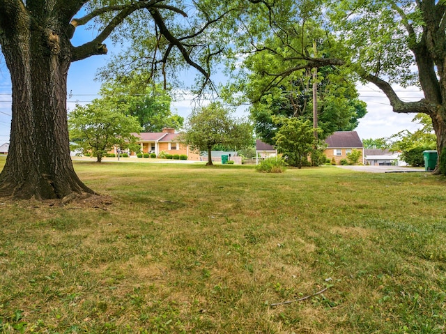 view of yard