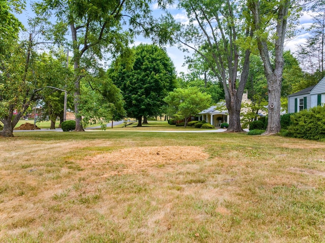 view of yard