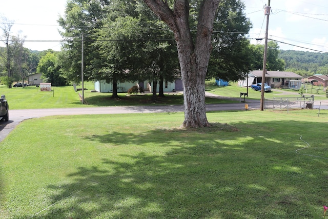 606 Caton St, Seymour, TN 37865 - view of grassy yard