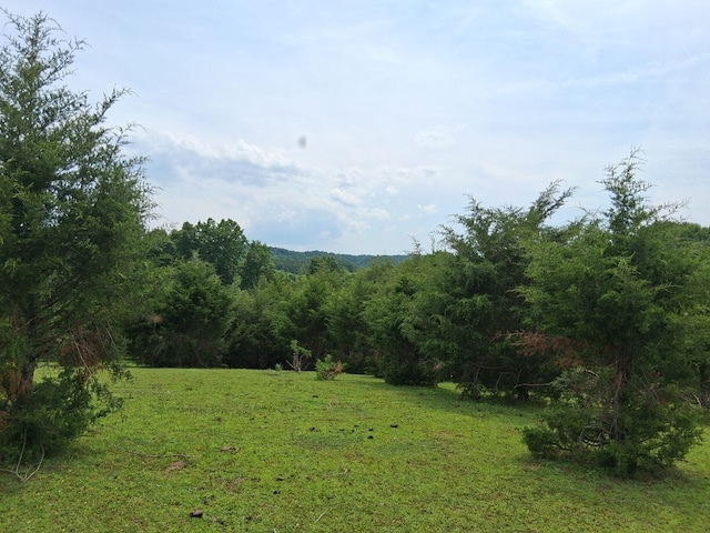 0 Buford Rd, Bybee, TN 37713 - photo 4