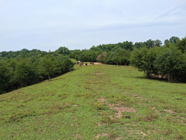 0 Buford Rd, Bybee, TN 37713 - photo 7