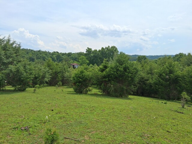 0 Buford Rd, Bybee, TN 37713 - photo 1