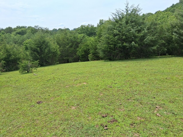 0 Buford Rd, Bybee, TN 37713 - photo 3