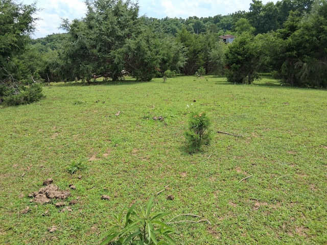 0 Buford Rd, Bybee, TN 37713 - photo 6
