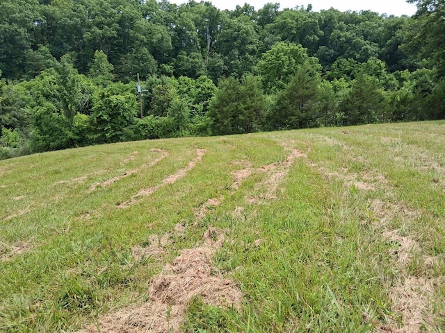0 Buford Rd, Bybee, TN 37713 - photo 11
