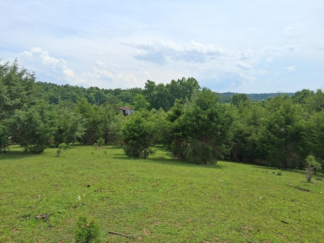 0 Buford Rd, Bybee, TN 37713 - photo 5