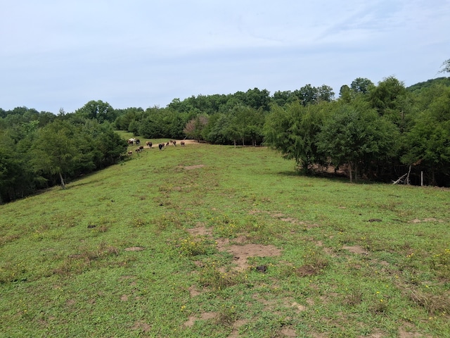 0 Buford Rd, Bybee, TN 37713 - photo 9