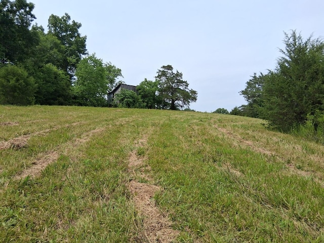 0 Buford Rd, Bybee, TN 37713 - photo 12