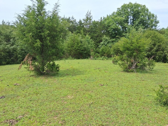 0 Buford Rd, Bybee, TN 37713 - photo 2